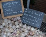 wintermarkt